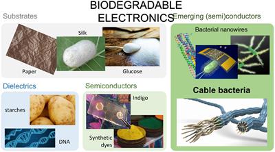 Biomaterials and Electroactive Bacteria for Biodegradable Electronics